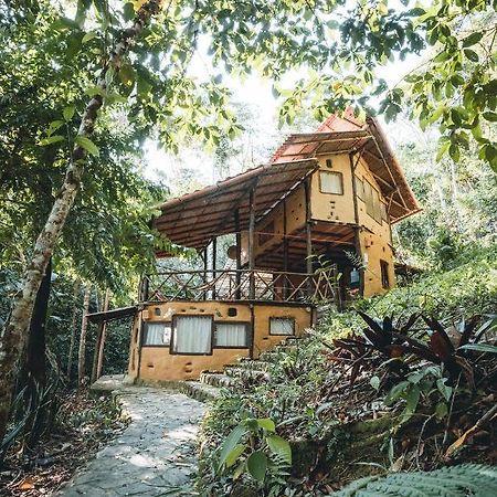 Chirapa Manta Amazon Lodge Lamas Bagian luar foto
