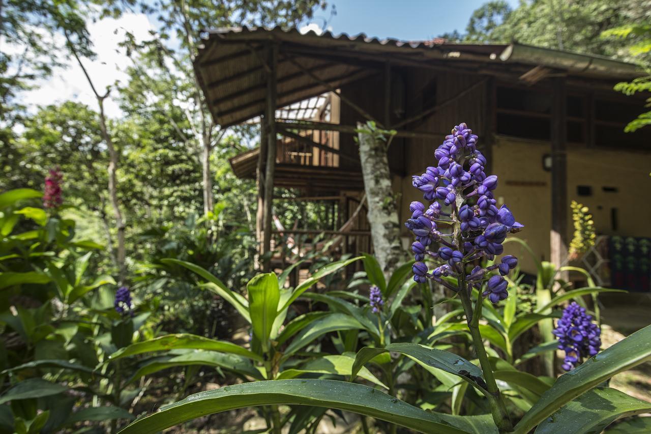 Chirapa Manta Amazon Lodge Lamas Bagian luar foto