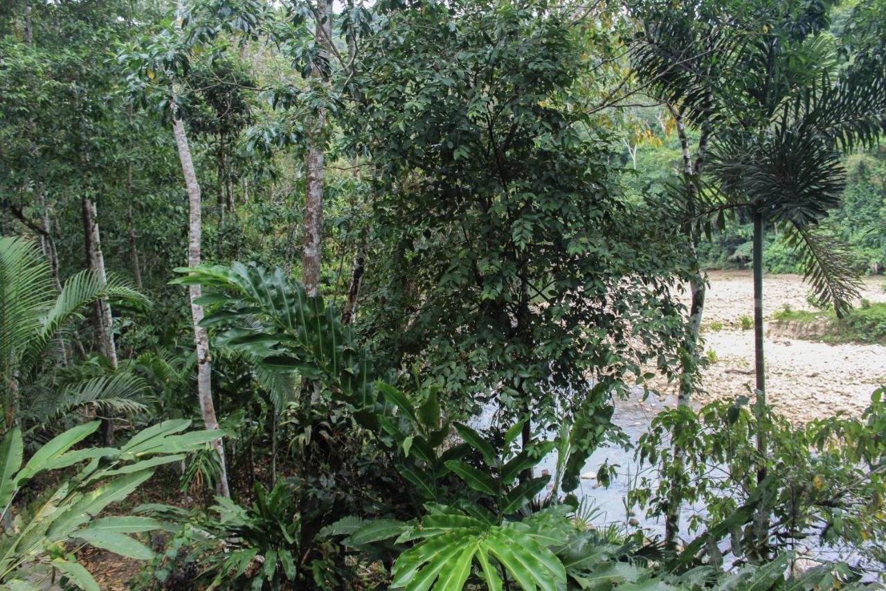 Chirapa Manta Amazon Lodge Lamas Bagian luar foto
