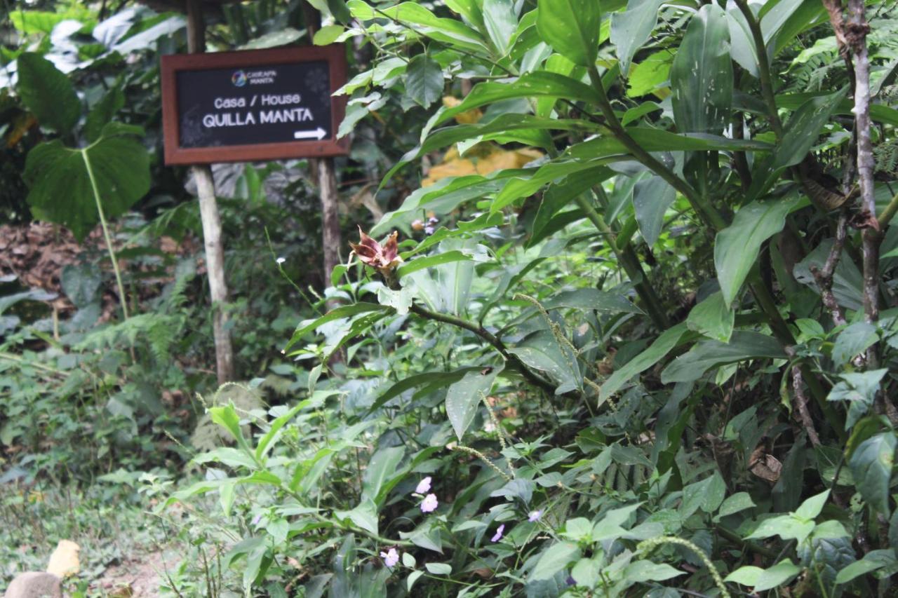 Chirapa Manta Amazon Lodge Lamas Bagian luar foto